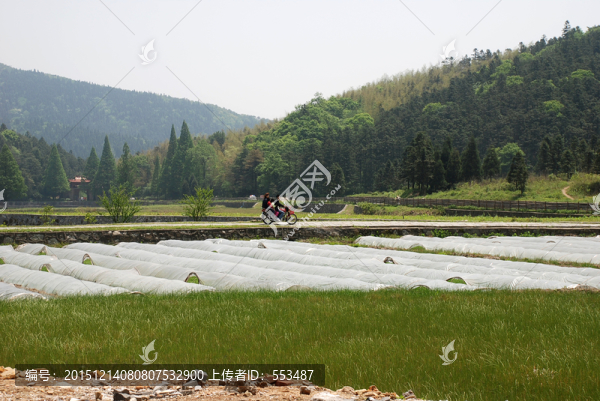 云居山風(fēng)情