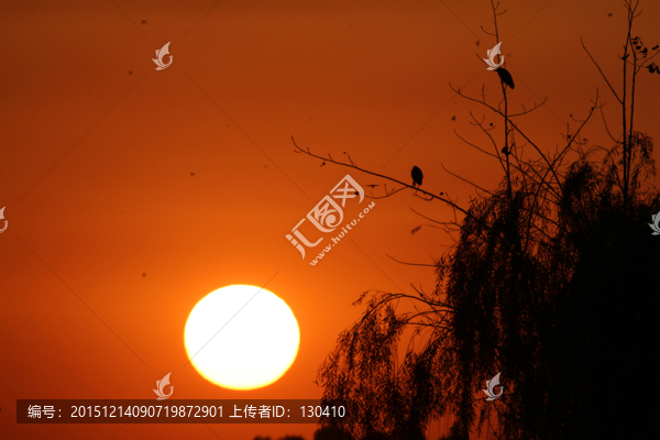 夕陽(yáng),落日