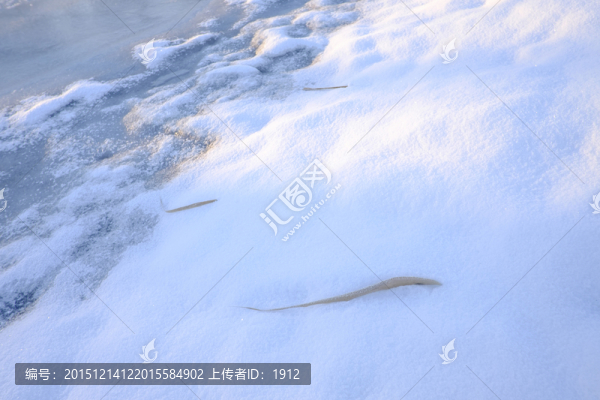冬雪