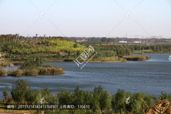 濕地公園
