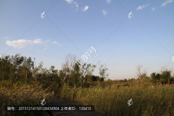 濕地公園