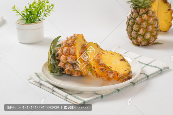 菠蘿