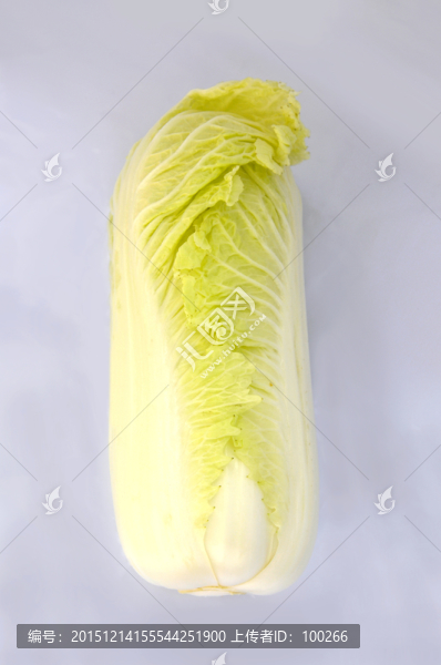 大白菜
