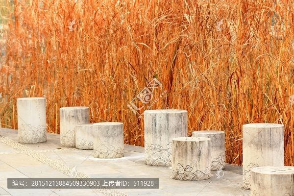 烏龍?zhí)豆珗@風光