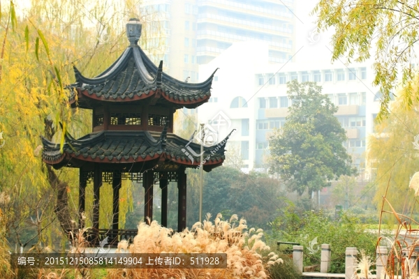烏龍?zhí)豆珗@風(fēng)光