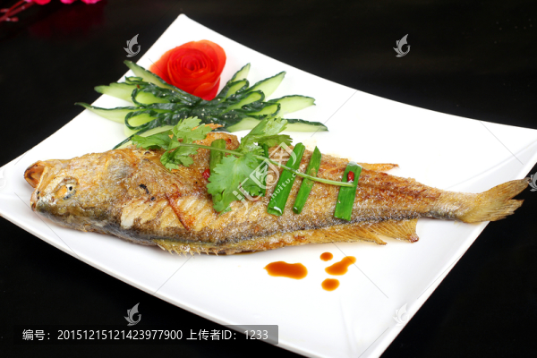 大黃花魚