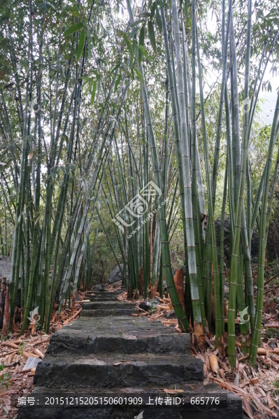 小路