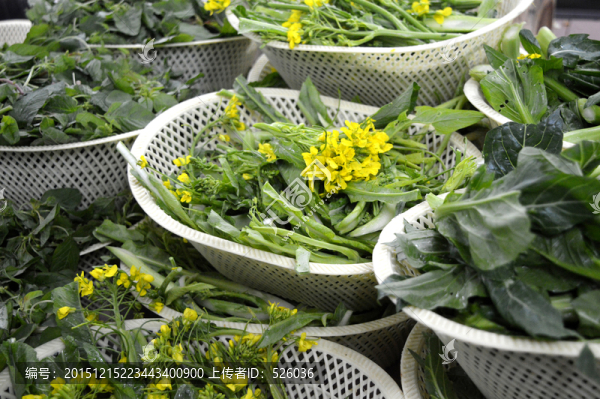 蔬菜