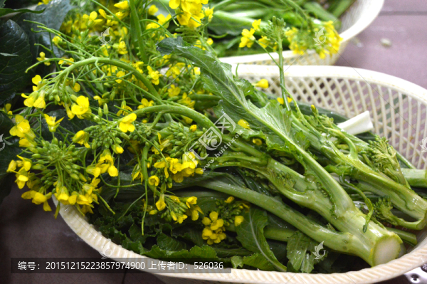 增城菜心