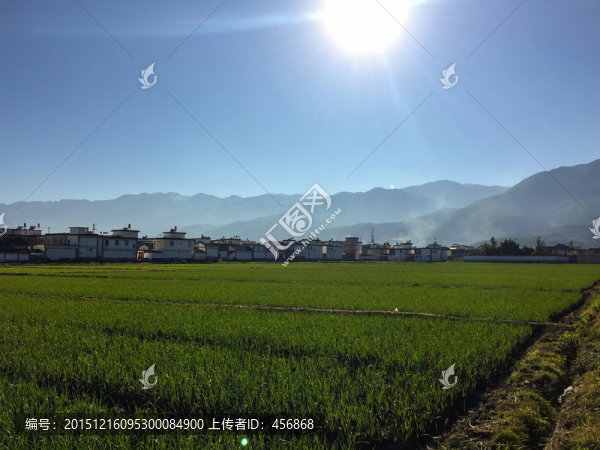 喜洲鎮(zhèn),田園風(fēng)光