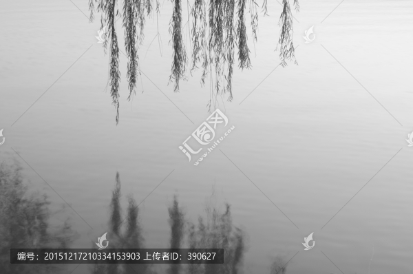 水邊垂柳