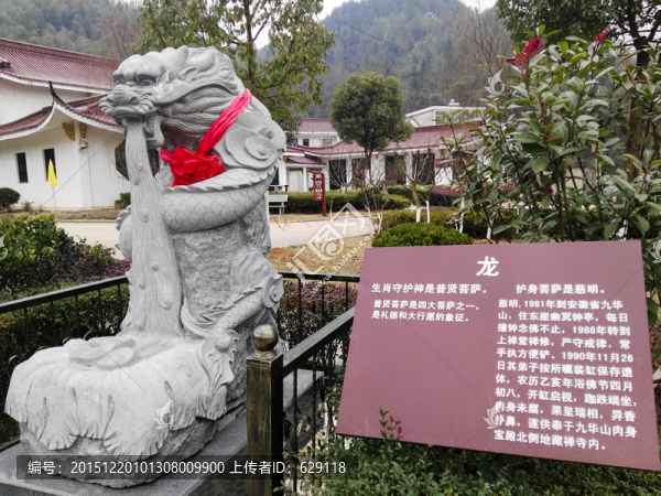 十二生肖,辰（龍）