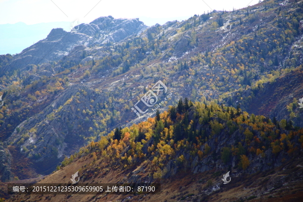 山