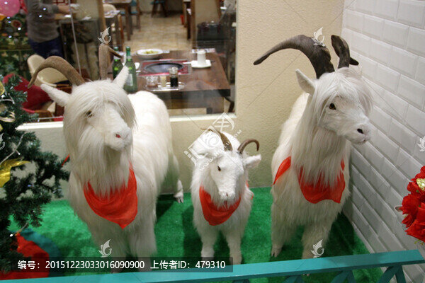 羊,山羊,標(biāo)本,玩偶