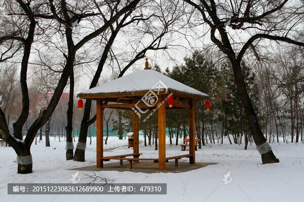 冬天,禿樹,紅燈,涼亭