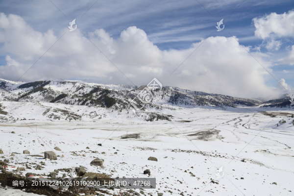 阿勒泰雪景