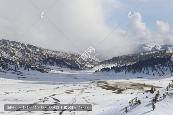 阿勒泰雪景