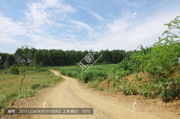 山區(qū)公路