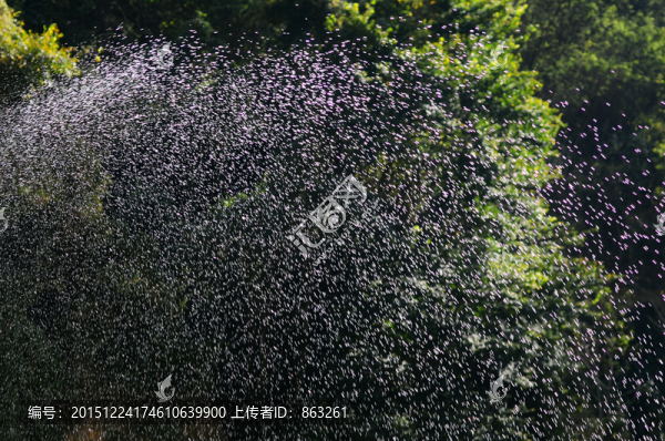 噴水水霧