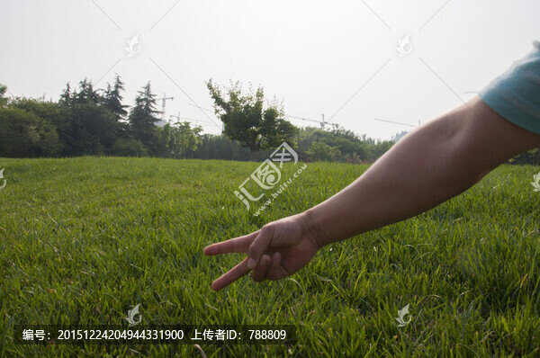 綠色草地