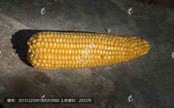 玉米棒