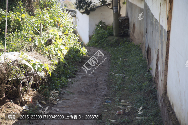 偏遠山區(qū),農(nóng)村小道