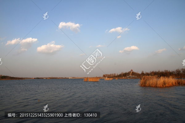 濕地風(fēng)光