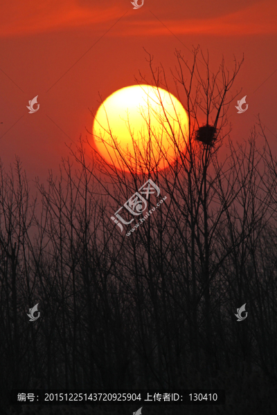 夕陽(yáng)