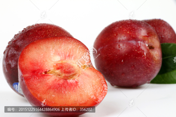 美國血絲梨