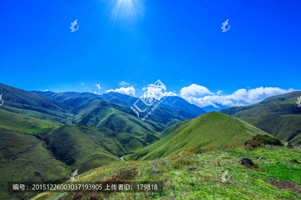 大海草山