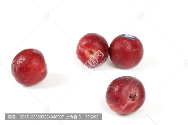 美國恐龍蛋