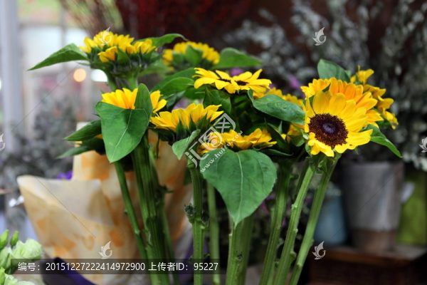 花卉,花藝,草本植物