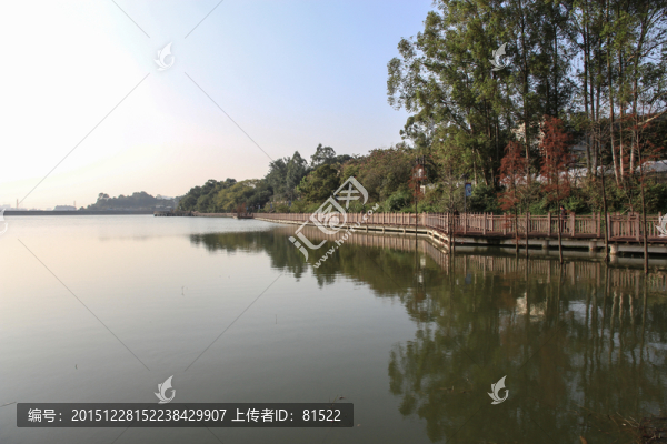 湖邊