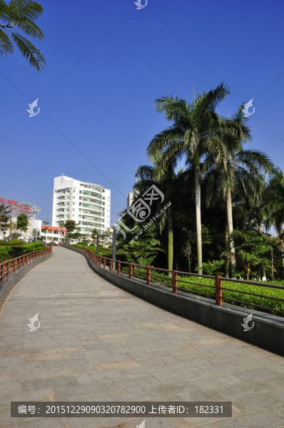 斜坡道路