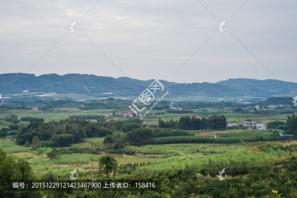 田園風(fēng)光
