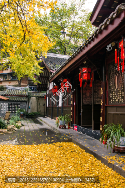 寺院銀杏美景