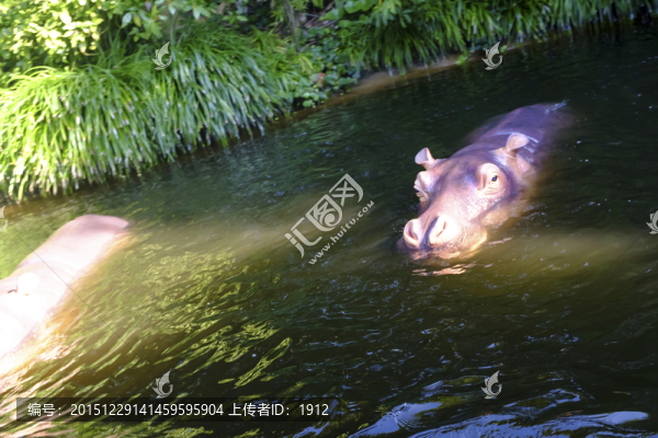 東京迪斯尼樂園