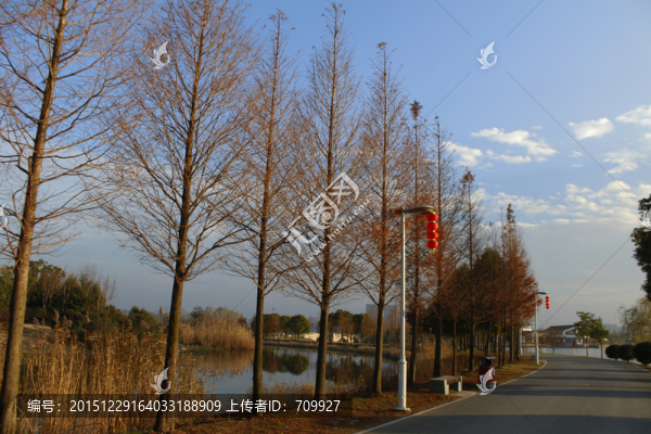 園林景觀,公園小路