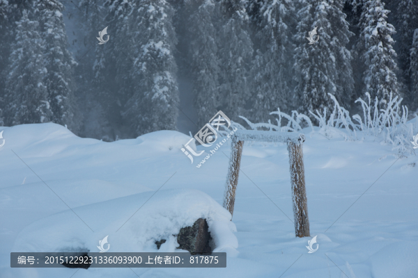 雪景