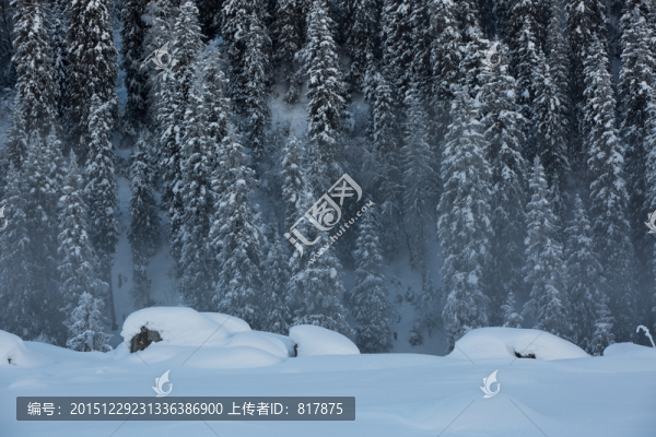 雪景