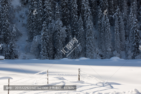 雪景