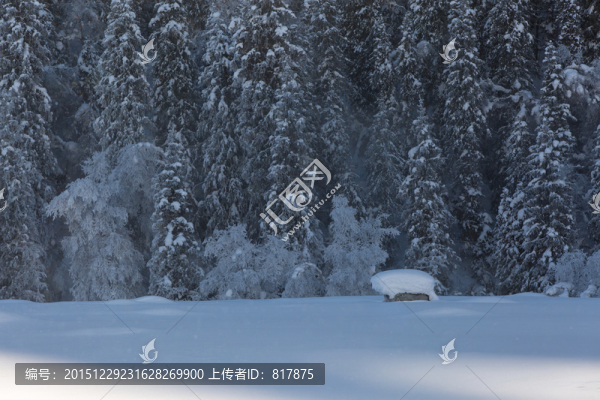 雪景