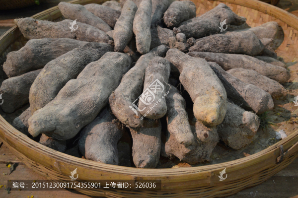糯米薯