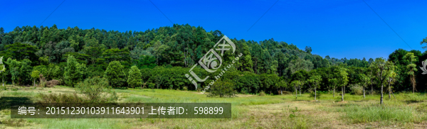 藍(lán)天森林田野
