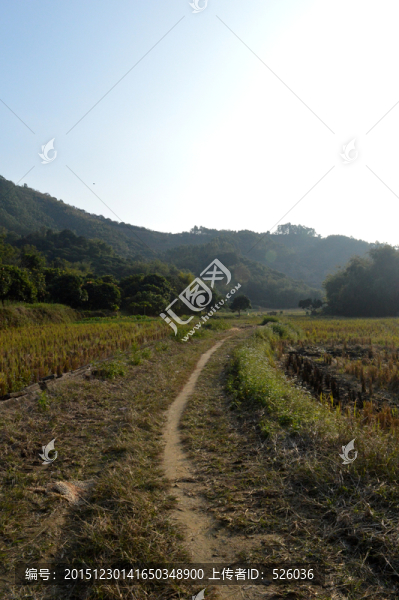 農(nóng)村道路