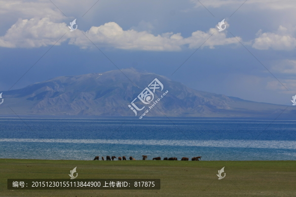 湖畔馬群