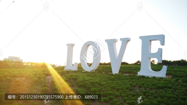 愛,love
