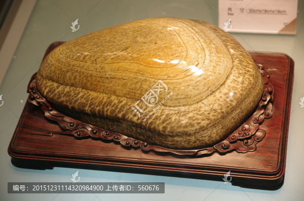 大化石