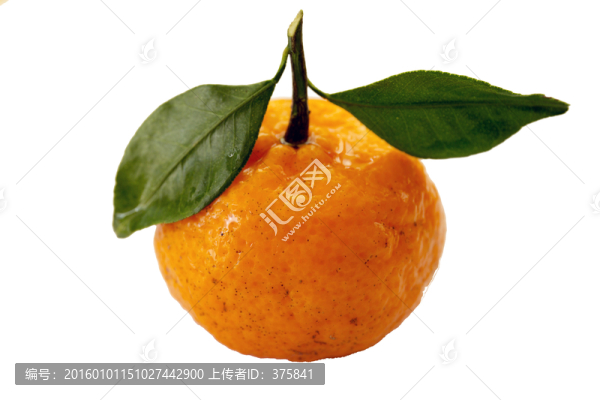 桔子