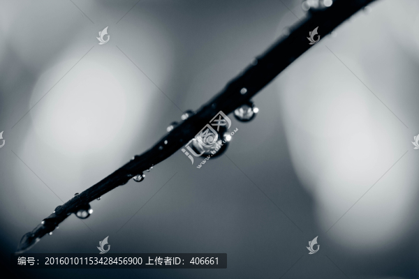 夢(mèng)幻水珠